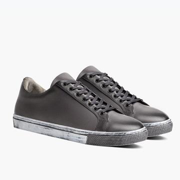 Thursday Boots Premier Low Tops Leren Sneakers Heren Grijs | NL376QMA